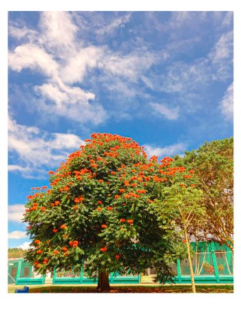 Serie Dulce Nombre. Vibra Creativa by Cely Cruz