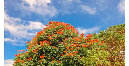 Serie Dulce Nombre. Vibra Creativa by Cely Cruz